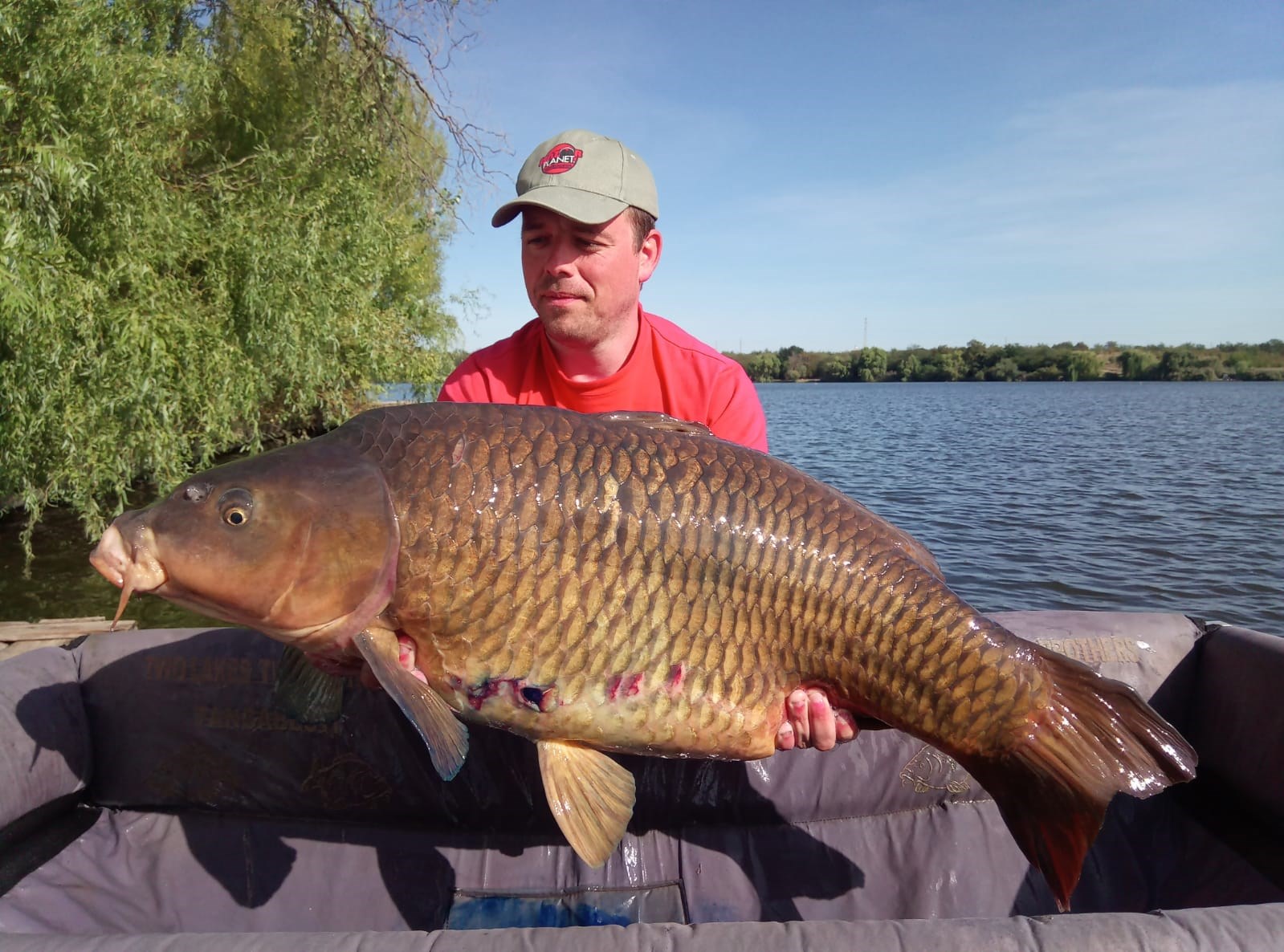 Tancabesti 17 - 20 sept. - 831C9271E7034EA4A5205F93D089C7D7.jpg